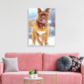 Toile Mastiff (Insitu(Salon))