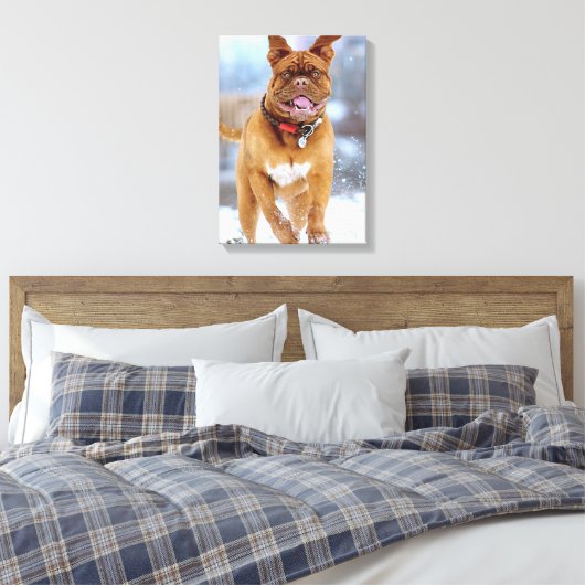 Toile Mastiff (Insitu(Chambre))