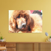 Toile Mastiff tibétain (Insitu(Salon))