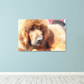 Toile Mastiff tibétain (Insitu (Plancher de Bois))