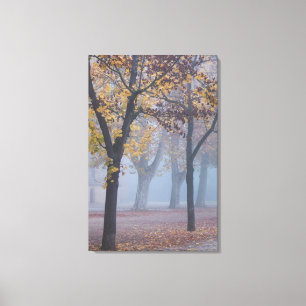 Toile Matin brumeux dans le parc de la cathédrale