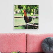 Toile Matin du coq (Insitu(Salon))