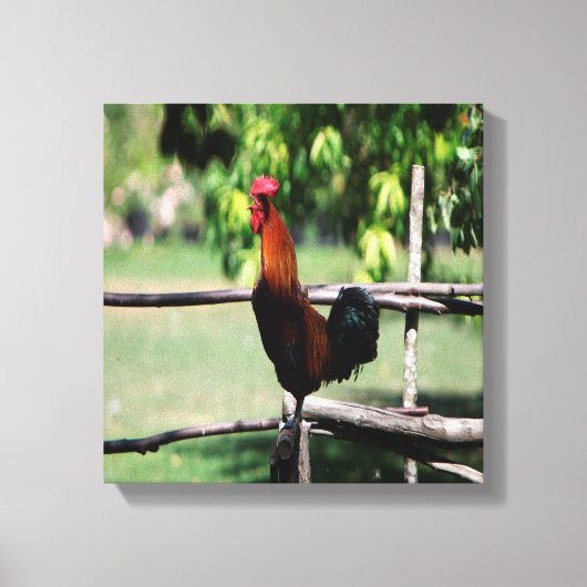 Toile Matin du coq (Recto)