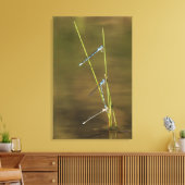 Toile Mating Damselflies (Insitu(Salon))