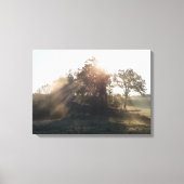 Toile Matins (Recto)