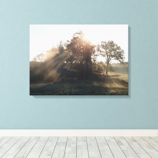 Toile Matins (Insitu (Plancher de Bois))