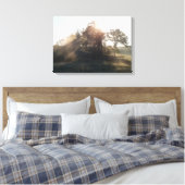 Toile Matins (Insitu(Chambre))