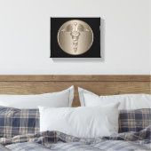 Toile MD Caduceus (Insitu(Chambre))