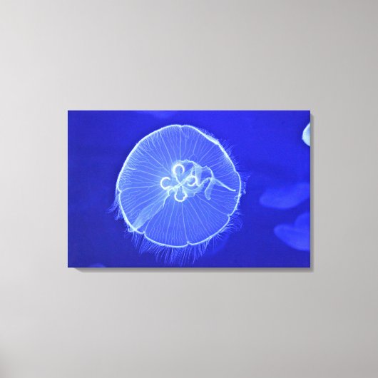 Toile Méduse 2 (Recto)