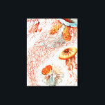 Toile Méduse, Discomedusae par Ernst Haeckel<br><div class="desc">Méduse,  Discomedusae Scheibenquallen par Ernst Haeckel Canvas Imprimer</div>