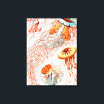 Toile Méduse, Discomedusae par Ernst Haeckel<br><div class="desc">Méduse,  Discomedusae Scheibenquallen par Ernst Haeckel Canvas Imprimer</div>