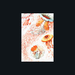 Toile Méduse, Discomedusae par Ernst Haeckel<br><div class="desc">Méduse,  Discomedusae Scheibenquallen par Ernst Haeckel Canvas Imprimer</div>