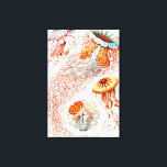 Toile Méduse, Discomedusae par Ernst Haeckel<br><div class="desc">Méduse,  Discomedusae Scheibenquallen par Ernst Haeckel Canvas Imprimer</div>