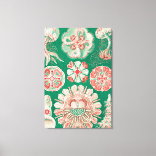 Toile Méduses, Discomedusae par Ernst Haeckel