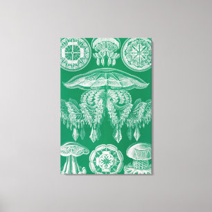 Toile Méduses, Discomedusae par Ernst Haeckel
