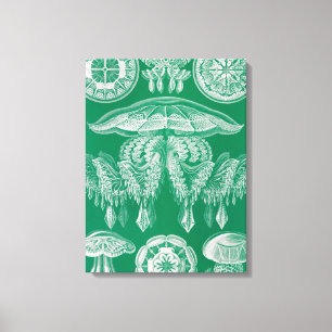 Toile Méduses, Discomedusae par Ernst Haeckel