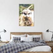 TOILE MEERKAT (Insitu(Chambre))