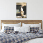 Toile Meerkat (Insitu(Chambre))