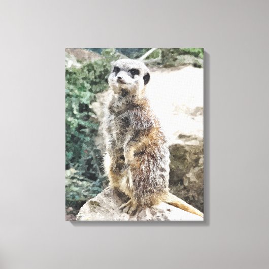 TOILE MEERKAT (Recto)