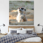Toile Meerkat 004 (Insitu(Chambre))