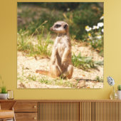 Toile Meerkat_005 (Insitu(Salon))
