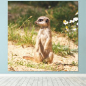 Toile Meerkat_005 (Insitu (Plancher de Bois))