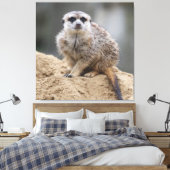 Toile Meerkat 021 (Insitu(Chambre))