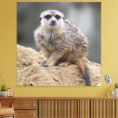 Toile Meerkat 021 (Insitu(Salon))