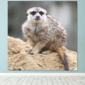 Toile Meerkat 021 (Insitu (Plancher de Bois))