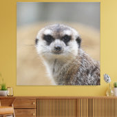 Toile Meerkat 022 (Insitu(Salon))