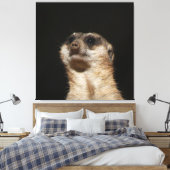 Toile Meerkat 032 (Insitu(Chambre))
