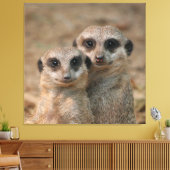 Toile Meerkat 033 (Insitu(Salon))