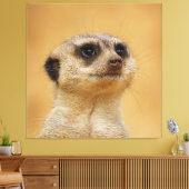 Toile Meerkat 037 (Insitu(Salon))