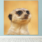Toile Meerkat 037 (Insitu (Plancher de Bois))