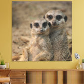 Toile Meerkat 067 (Insitu(Salon))