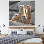Toile Meerkat 110 (Insitu(Chambre))