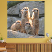 Toile Meerkat 110 (Insitu(Salon))