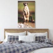 Toile meerkat à queue mince (Insitu(Chambre))