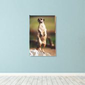 Toile meerkat à queue mince (Insitu (Plancher de Bois))