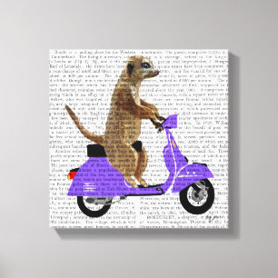 Toile Meerkat sur le vélomoteur de lilas