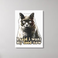 Mème de chat amusant pour les amoureux de les chat