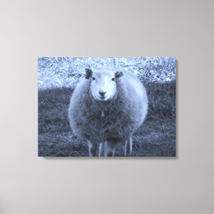 Toile Mère Bleue et Blanc mouton.