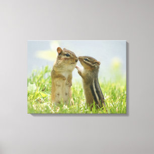 Toile Mère Et Bébé Chipmunk