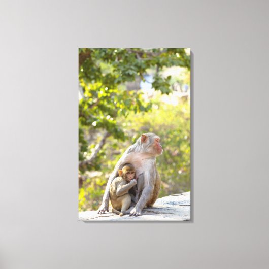 Toile Mère et bébé Rhesus Macaque singes sur le mur (Recto)