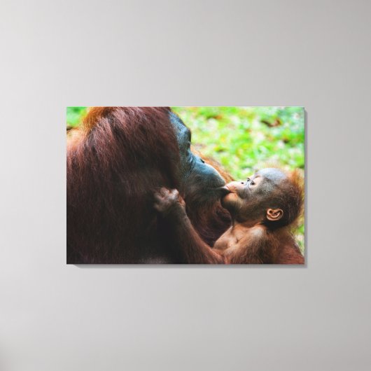 Toile Mère orang-outan et bébé (Recto)