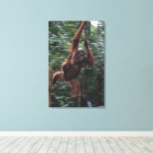Toile Mère Orangoutan avec bébé 3 (Insitu (Plancher de Bois))