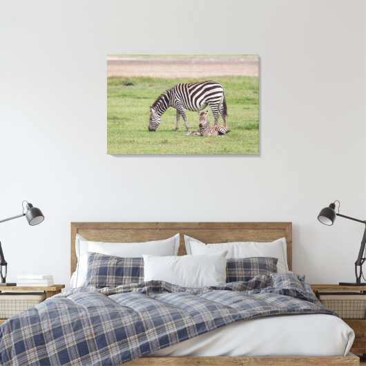 Toile Mère Zebra avec nouveau-né Colt (Insitu(Chambre))