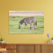 Toile Mère Zebra avec nouveau-né Colt (Insitu(Salon))