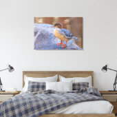 Toile Merganser (Insitu(Chambre))