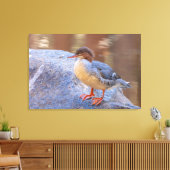 Toile Merganser (Insitu(Salon))